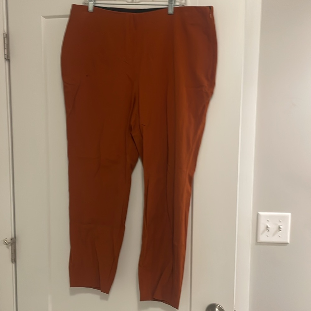 A new day skinny ankle pant. Elastic waist with side zip side closure. Size 17